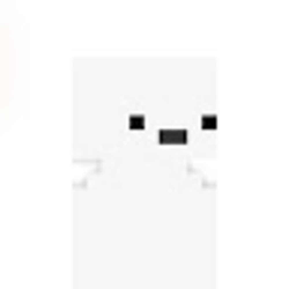 Meet your Posher, Lmaocounter